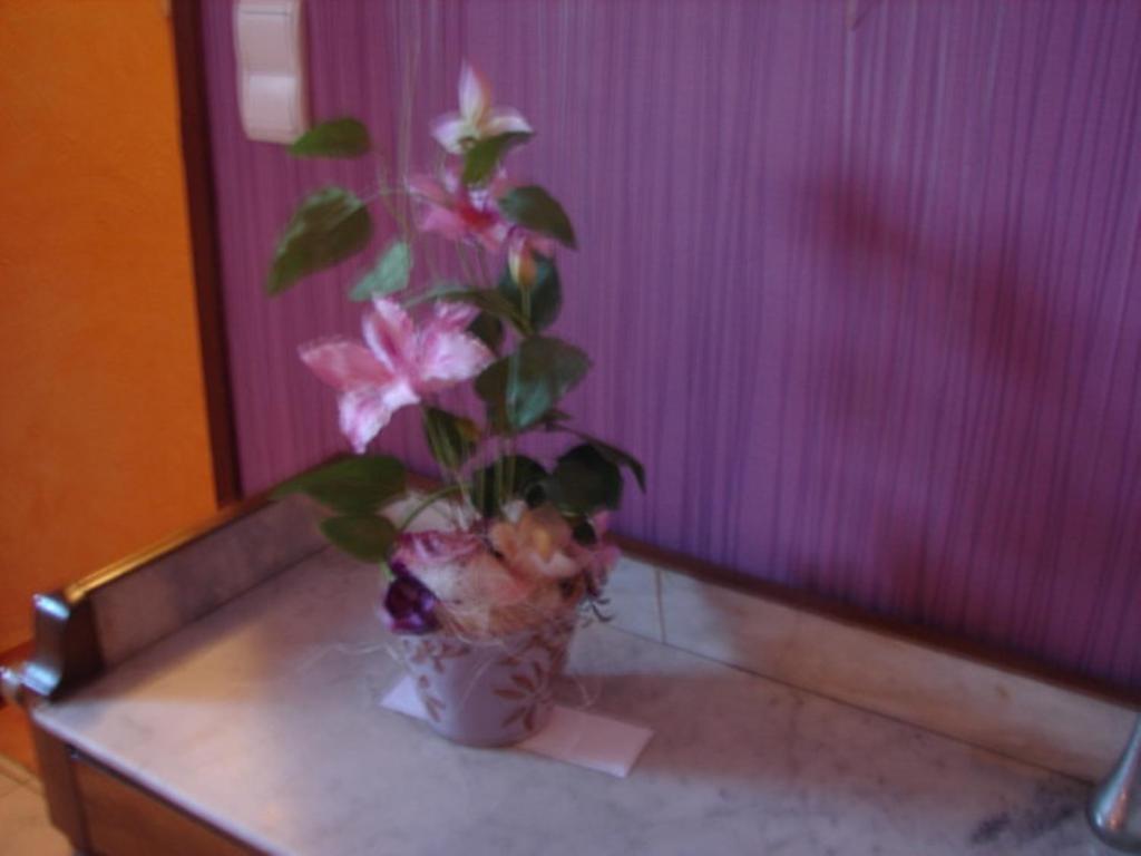 Gite De Fontepaisse Saint-Jean-en-Royans Room photo